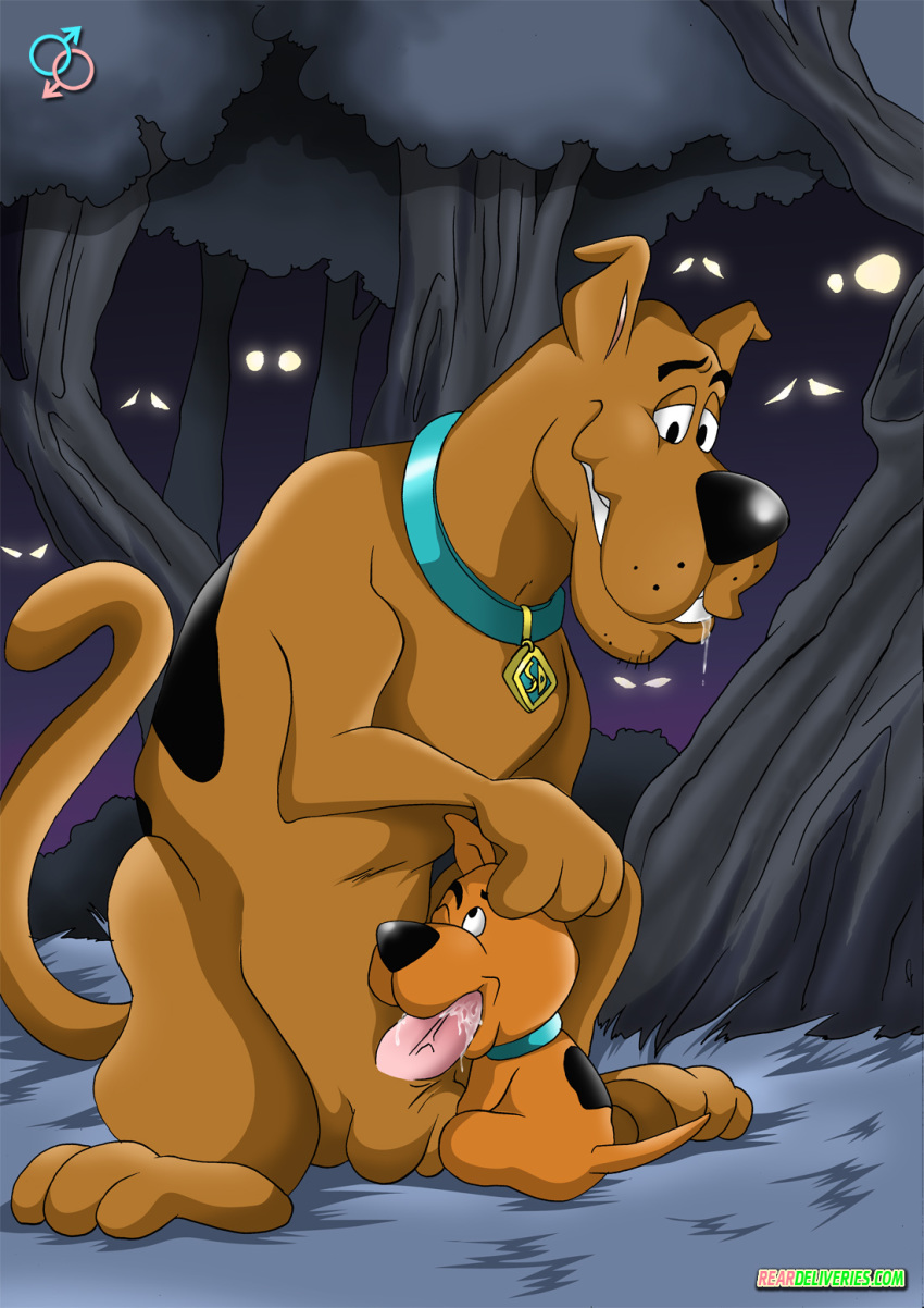 Scooby doo best adult free image