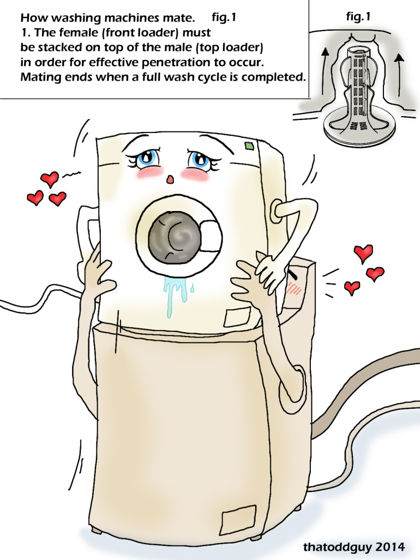 Washing machine agitator dildo