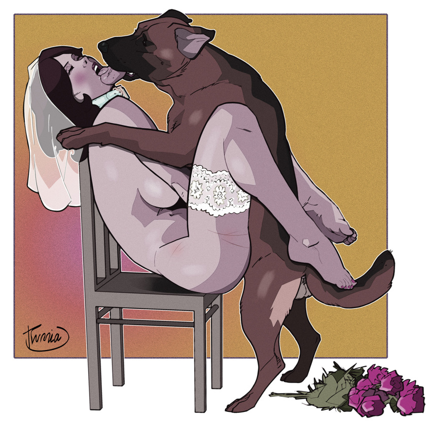 Dog Girl Sex Stories