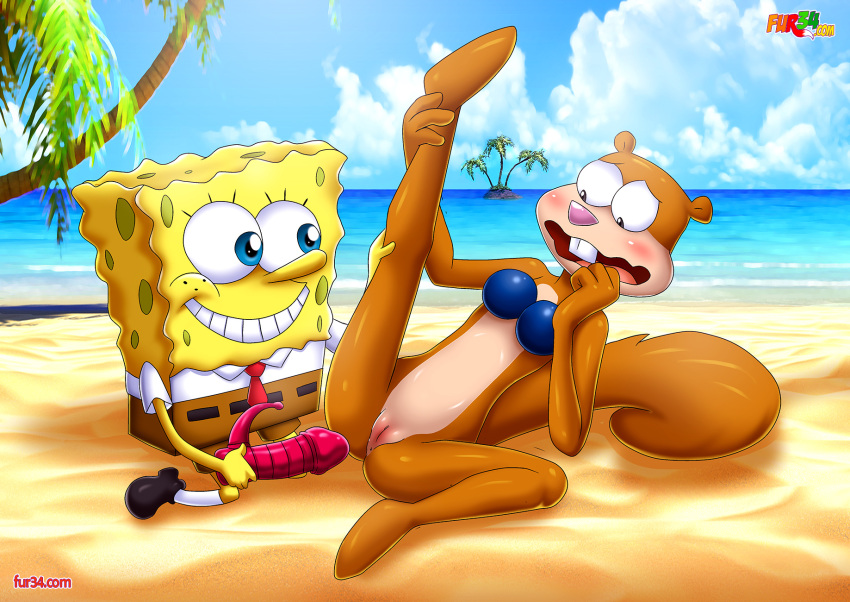 Spongebob Squarepants Sex Sandy Cheeks Porn