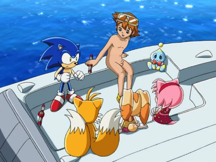 amy_rose cheese_the_chao chris_thorndyke cream_the_rabbit erection full_body miles_"tails"_prower multiple_tails nude penis sega sonic_(series) sonic_team sonic_the_hedgehog sonic_x tail