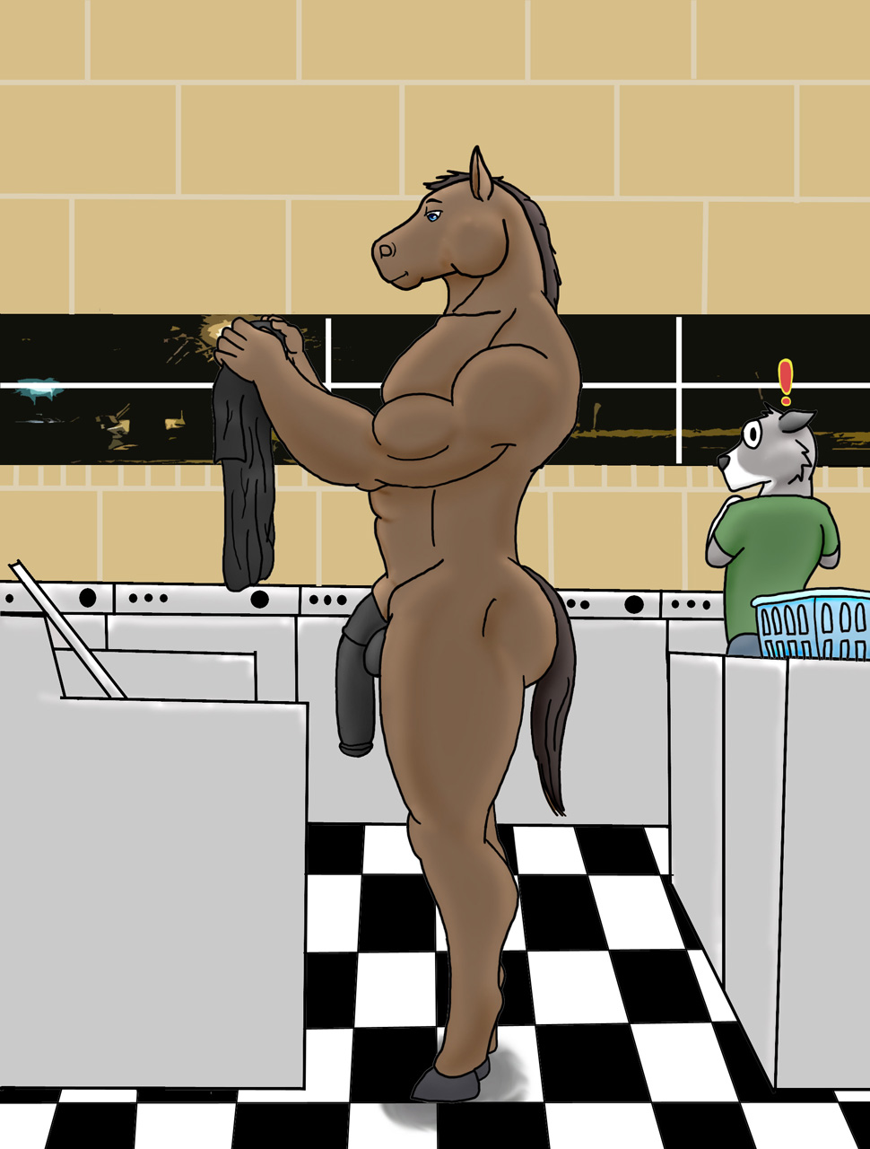 anthro equine hooves horse hung laundromat laundry male male_only nude penis public sheath shock solo surprised vamplust