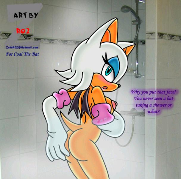 rouge_the_bat shower sonic tagme text zetar02_(artist)
