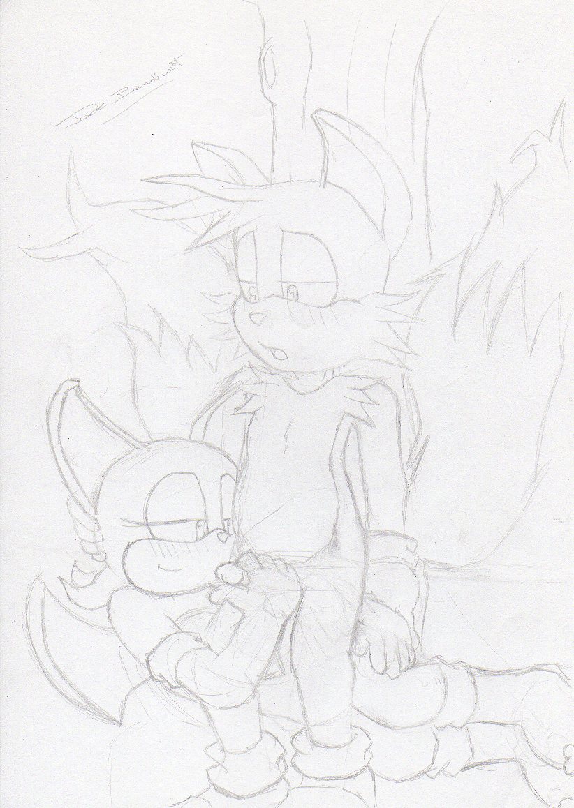 jack_bandicoot miles_"tails"_prower multiple_tails rouge_the_bat sonic_(series) tail