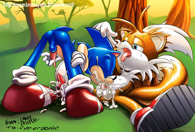 fellatio miles_"tails"_prower multiple_tails oral sonic sonic_the_hedgehog tail yaoi