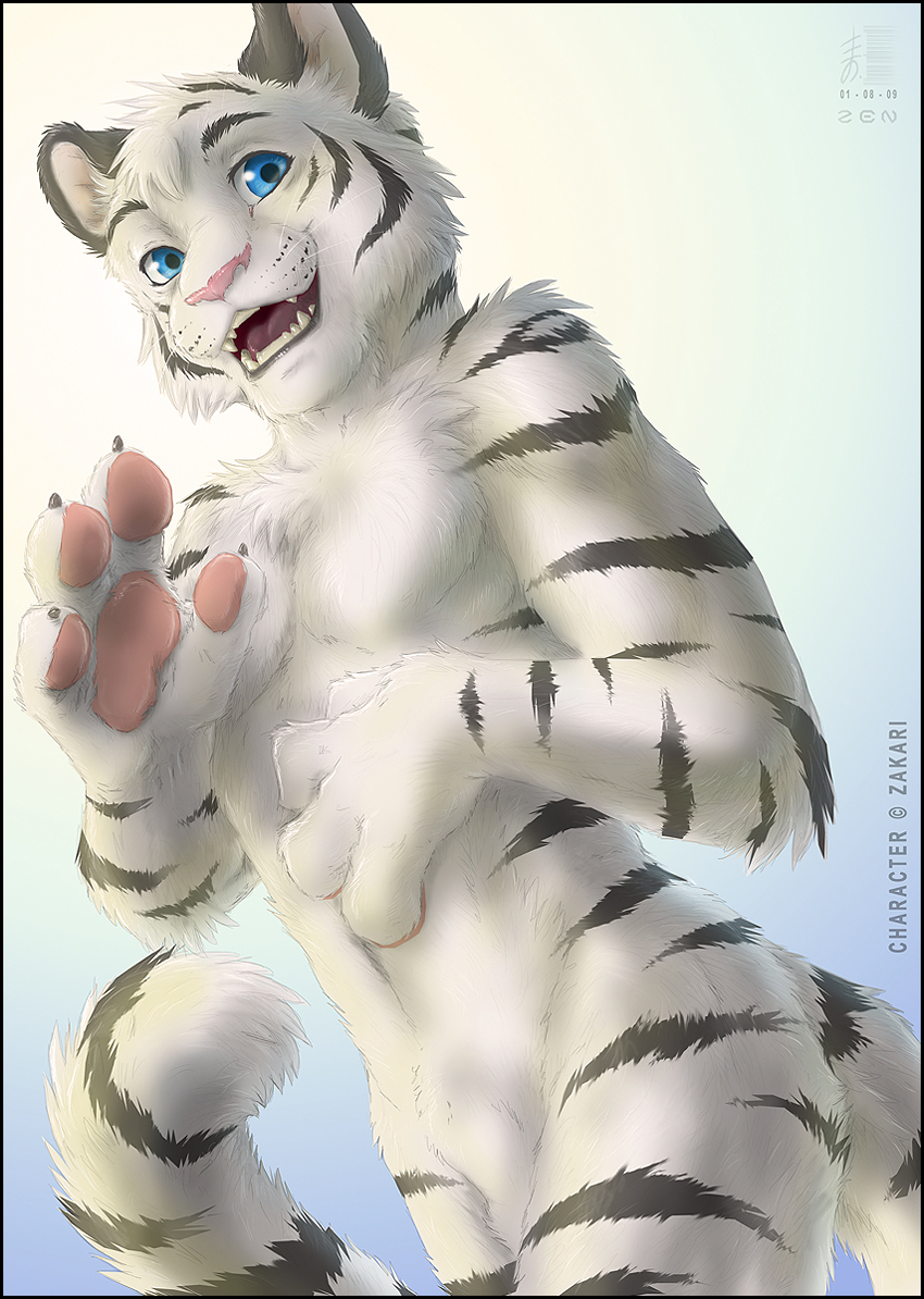 feline furry looking_at_viewer male original original_character sheath solo tiger zakari_(zen) zen zen_(artist)