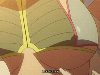 2_girls animated breast_grab breast_groping breasts echidna echidna_(queen's_blade) female female_only gif grabbing irma_(queen's_blade) lowres multiple_girls nipples queen's_blade qvga spanish spanish_text subtitled touching touching_breasts underboob yuri