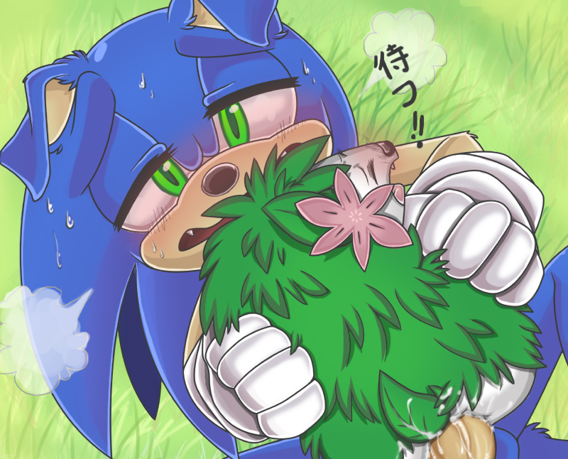 beastiality crossover cum cum_drip cum_in_pussy cum_inside drugged_sex endured_face furry monster nintendo no_humans nude open_mouth orgasm penis pokemon sega sex shaymin size_difference sonic sonic_the_hedgehog stoned sweat text zoophilia