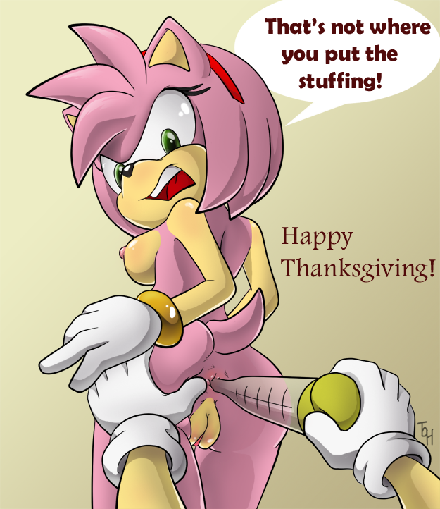 Anal Amy Porn - Xbooru - amy rose anal anal insertion angry anthro anus areolae ass  backboob bracelet breasts funny furry gloves green eyes hair looking back  nipples nude pink hair pussy sega shiny skin short