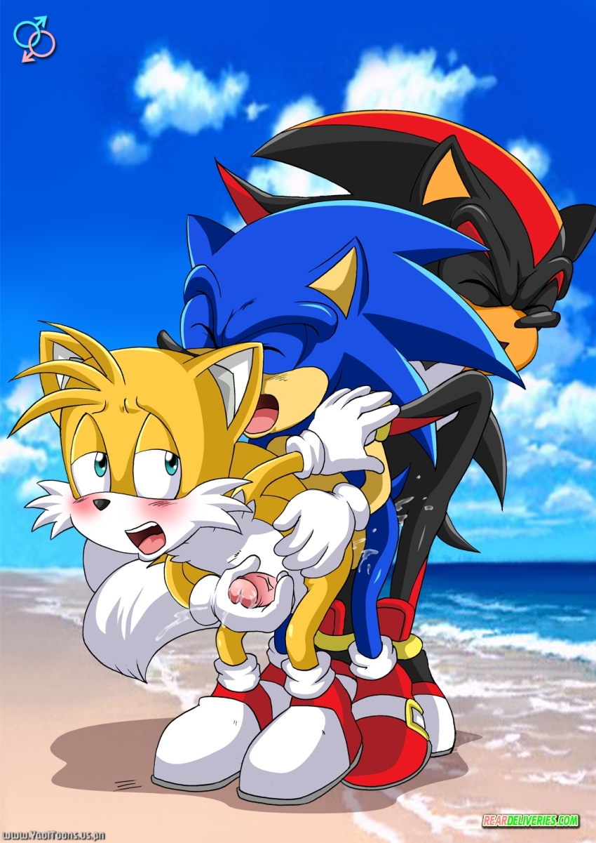 beach bent_over blush from_behind love_train masturbation miles_"tails"_prower mobius_unleashed palcomix penis rear_deliveries shadow_the_hedgehog sonic_(series) sonic_the_hedgehog yaoi