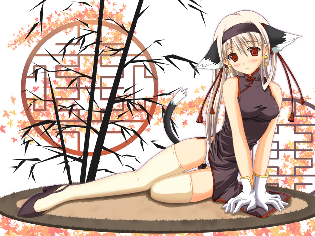1girl albino animal_ears arm_support bamboo blush cat_ears cat_tail china_dress chinadress chinese_clothes dress gizensha gloves hentai high_heels original panties pantyshot red_eyes shoes solo tail thighhighs underwear wallpaper white_hair window