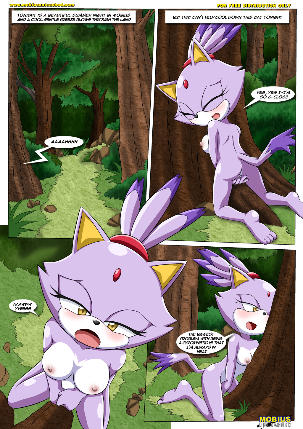 alluring bbmbbf blaze_the_cat comic female_masturbation mobius_unleashed palcomix sega sonic_(series) sonic_team sonic_the_hedgehog_(series) text the_heat_of_passion