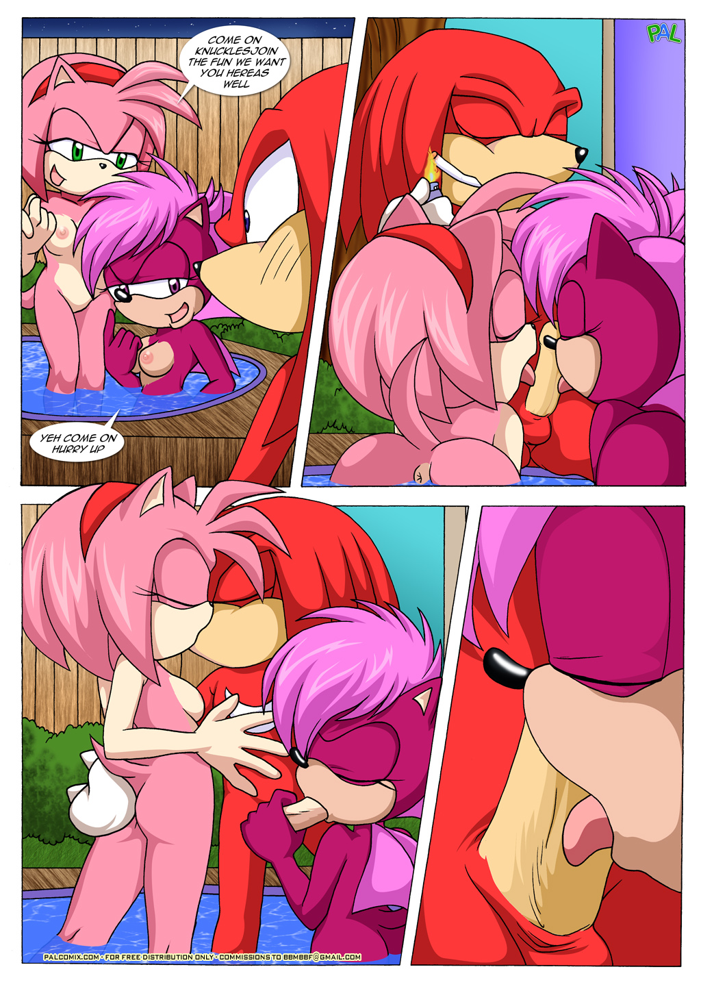 amy_rose anthro bbmbbf comic furry hot_tub hot_tub_sex_machine knuckles_the_echidna mobius_unleashed palcomix sega sonia_the_hedgehog sonic_(series) sonic_team sonic_the_hedgehog_(series) sonic_underground