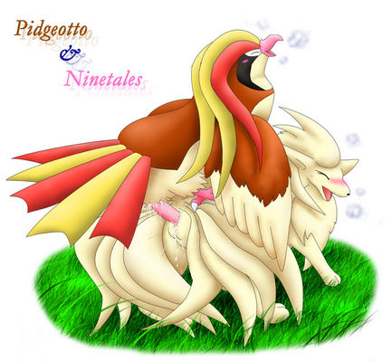 bird ninetales pidgeot pidgeotto pokemon sex