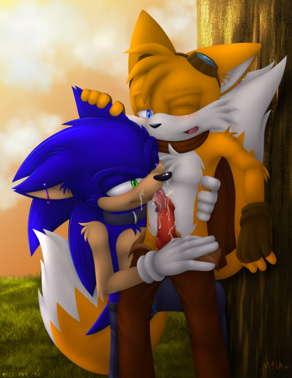 cute furry gay miles_"tails"_prower multiple_tails mylafox sonic_team sonic_the_hedgehog tail