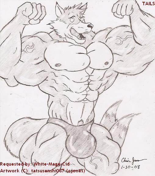 fox male miles_"tails"_prower muscle no_sex solo