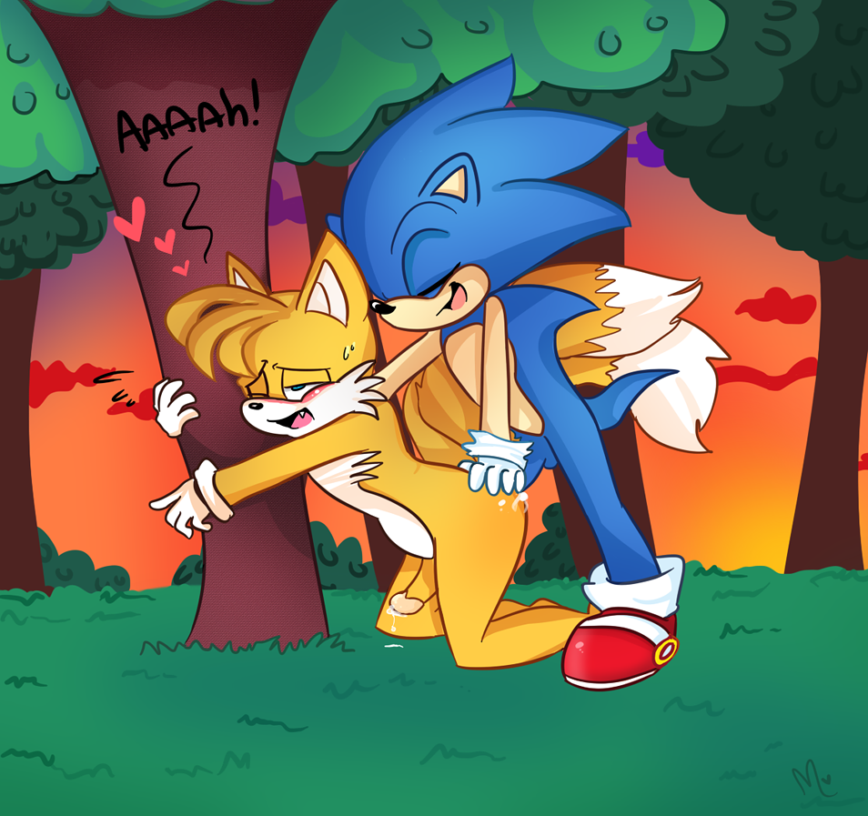 anal anal_penetration anthro blue_eyes blue_hair blush canine closed_eyes cum cum_in_ass cum_inside cumshot erection forest fox gay hair heart hedgehog male miles_"tails"_prower miles_prower one_eye_closed orange_hair orgasm outside penetration penis sega sex silly_(artist) sonic_(series) sonic_the_hedgehog testicles tree