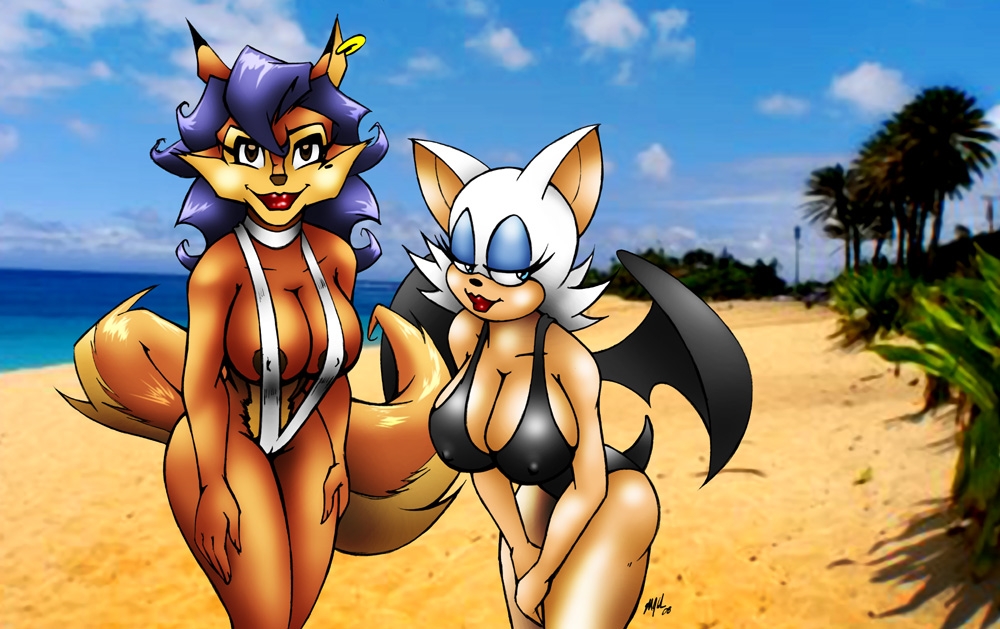areola bat beach big_breasts breasts canine carmelita_fox catsprin crossover female fox graphicbrat lips looking_at_viewer rouge_the_bat seaside sega sly_cooper_(series) sonic_(series) sonic_team swimsuit