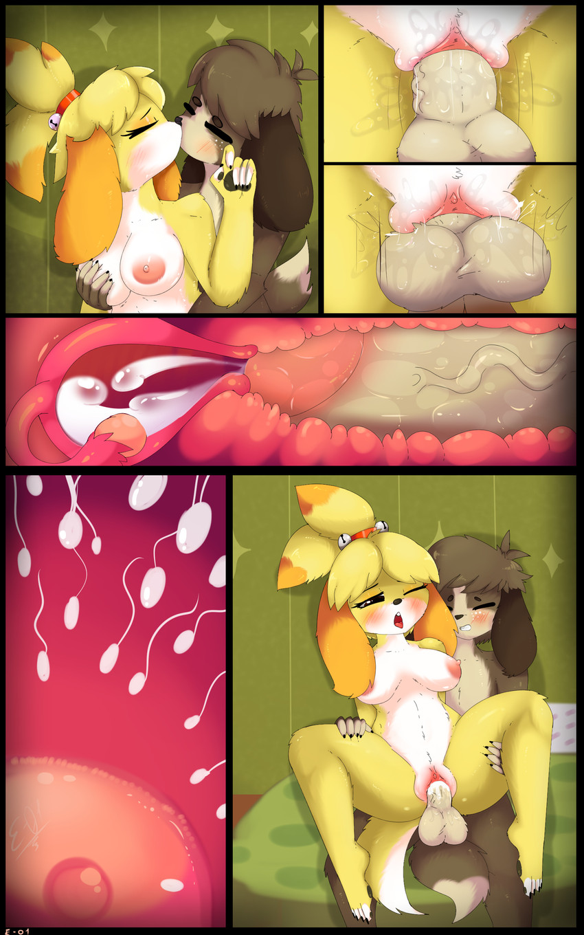 1girl 4_toes absurd_res animal_crossing anthro areola balls barefoot bed bell black_nose blush bodily_fluids breasts brown_body brown_fur canid canine canis clothed clothing comic cum cum_in_pussy cum_in_uterus cum_inside digby_(animal_crossing) digital_media_(artwork) domestic_dog duo e-01 erection feet fur furniture furry genital_fluids genitals hair hand_on_breast high_res humanoid_genitalia humanoid_penis impregnation inbreeding incest isabelle_(animal_crossing) kissing male male/female male_penetrating mammal multicolored_body multicolored_fur nintendo nipples nude on_bed ovum pawpads penetration penis pink_nipples pink_pussy pussy pussy_juice sex shih_tzu sibling simple_background smile sperm_cell spread_legs spreading teeth toes tongue tongue_out toy_dog uterus vaginal vaginal_penetration vein video_games white_body white_fur yellow_body yellow_fur