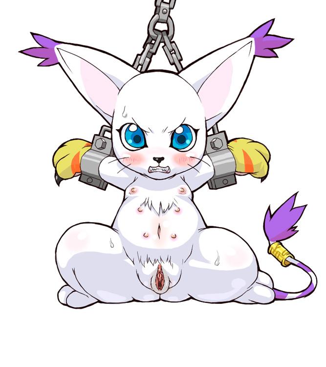 angry blue_eyes blush cat chains claws digimon extra_breasts fangs furry gatomon multi_breast multiple_breasts nipples no_humans pussy simple_background spread_legs sweat tail tailmon whiskers white_background