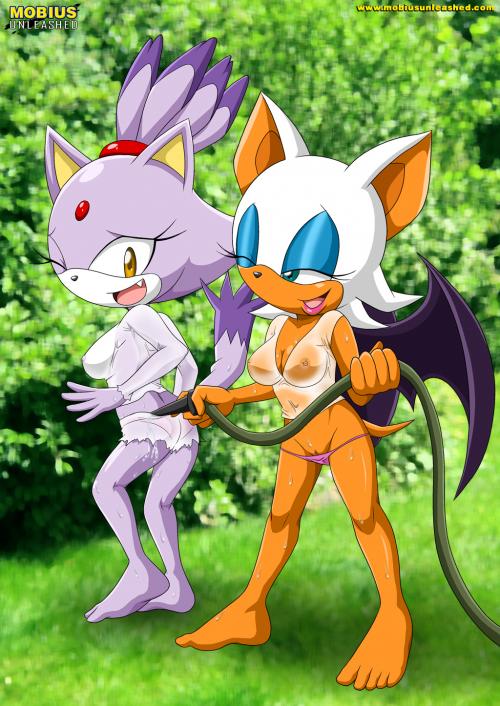 2girls areolae bbmbbf blaze_the_cat breasts cleavage erect_nipples female female_only hose mobius_unleashed nipples no_bra palcomix panties rouge_the_bat see_through sega sonic_(series) sonic_the_hedgehog_(series) transparent_clothing