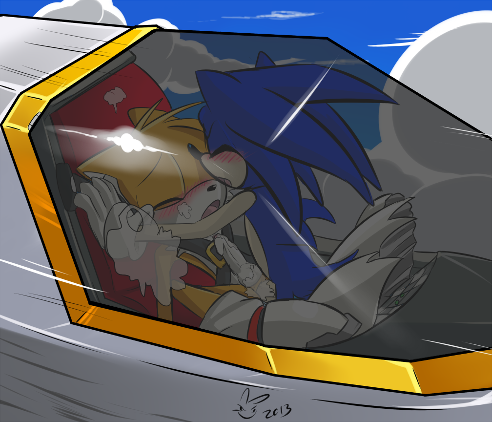 anal blush c3 canine cum cum_inside cumming_on_canopy cute fox furry hedgehog miles_"tails"_prower panting sega sonic sonic_(series) sonic_the_hedgehog tail white_crest yaoi