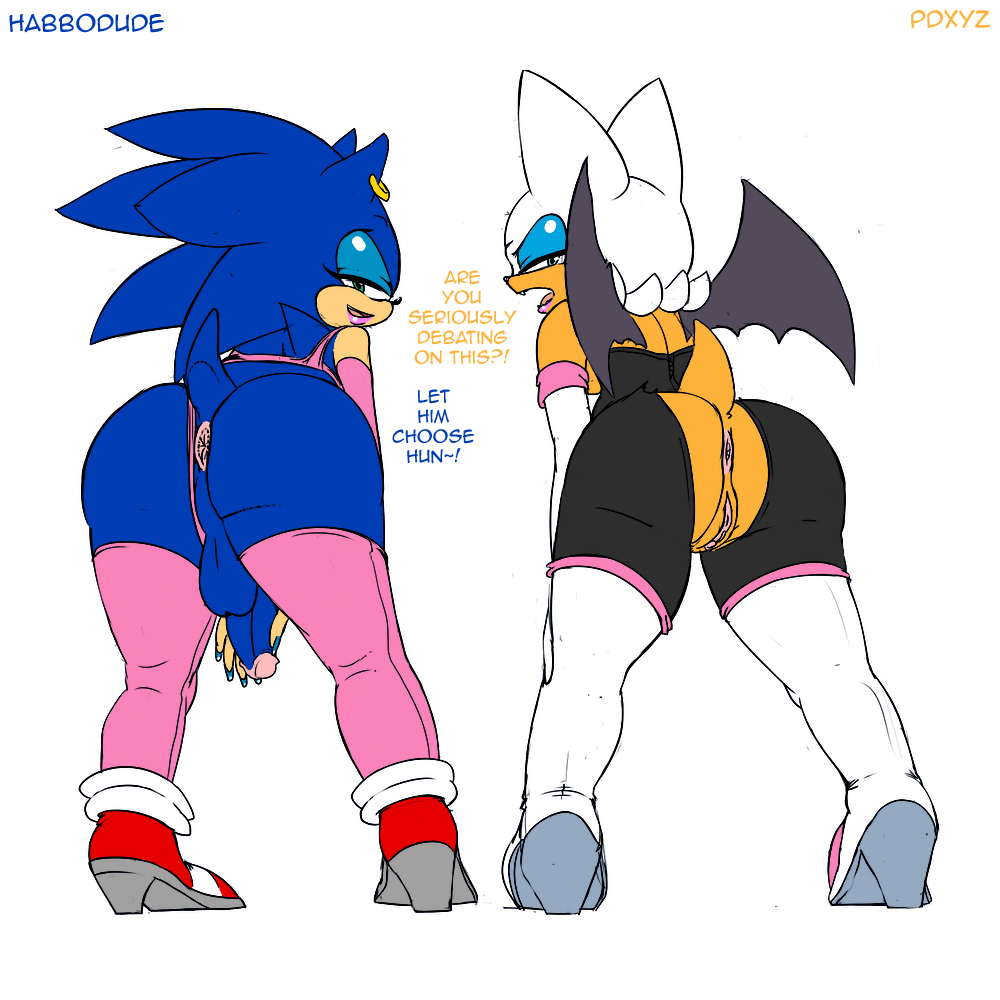 anthro anus ass bat blue_eyes blue_hair dialog english_text erection female girly green_eyes habbodude hair hedgehog looking_at_viewer looking_back male pdxyz penis presenting presenting_hindquarters pussy rouge_the_bat sega sonic_(series) sonic_the_hedgehog testicles text white_hair wings
