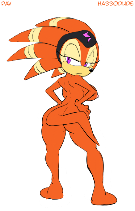 anthro ass big_breasts breasts butt echidna erect_nipples female habbodude hair looking_at_viewer looking_back nipples nude orange_hair purple_eyes rav sega shade_the_echidna solo sonic_(series)