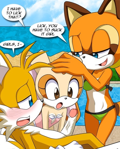 bbmbbf beach cream_the_rabbit marine_the_raccoon miles_"tails"_prower mobius_unleashed palcomix poolside_fun sega sonic_(series) sonic_the_hedgehog_(series) threesome