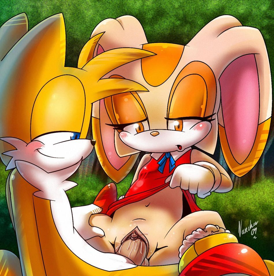 cream_the_rabbit cute furry miles_"tails"_prower nancher penis sega sex sonic_(series) sonic_the_hedgehog_(series) tail vaginal