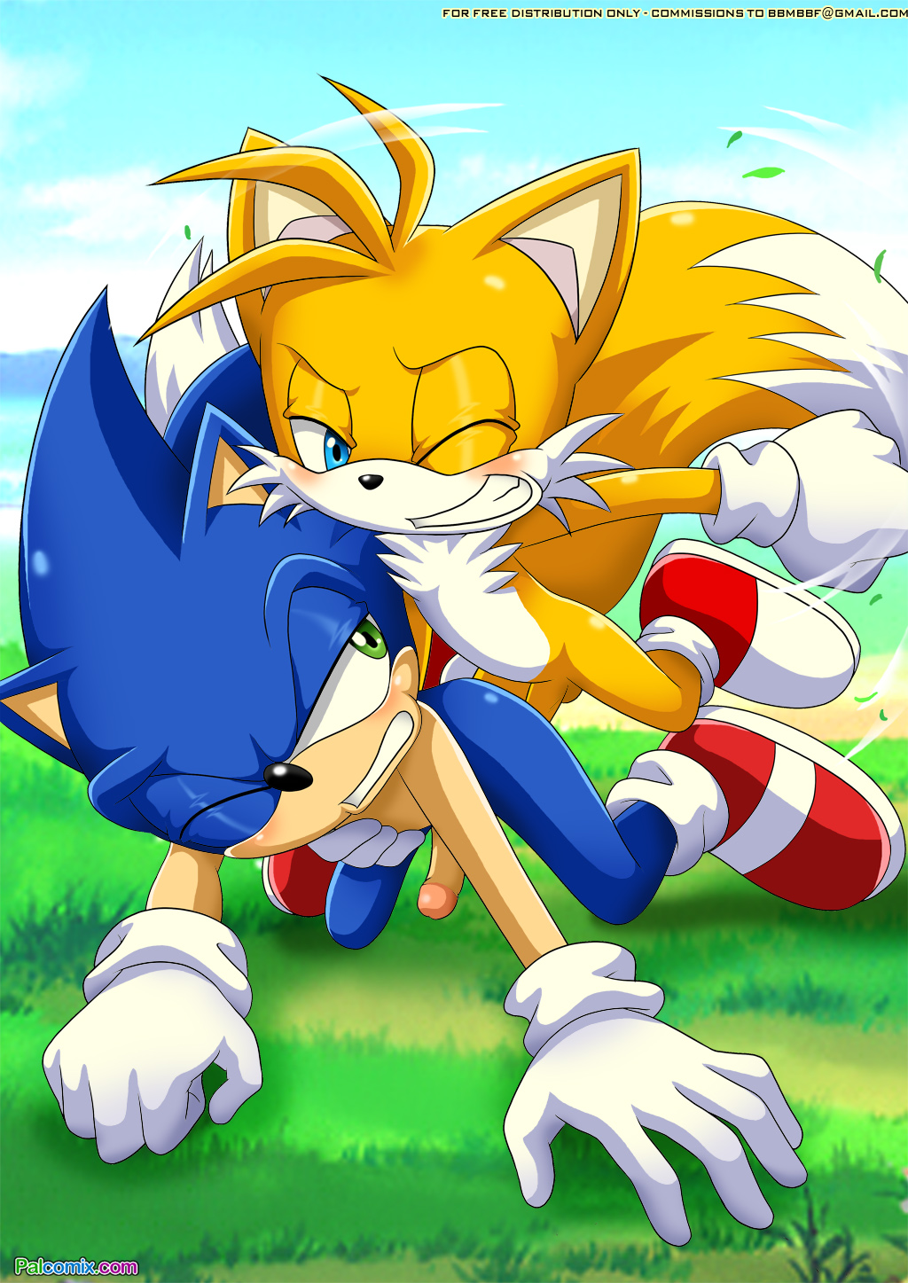 all_fours anal anal_sex bbmbbf blush fox from_behind hedgehog male/male male_only miles_"tails"_prower mobius_unleashed multiple_penises multiple_tails outdoors outside palcomix penis sega sex sonic sonic_(series) sonic_the_hedgehog sonic_the_hedgehog_(series) tagme tail yaoi