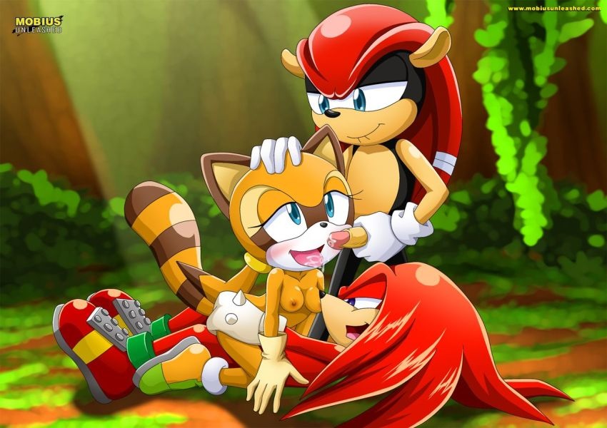 armadillo bbmbbf breasts fellatio female group hetero knuckles_the_echidna male marine_the_raccoon mighty_the_armadillo mobius_unleashed nipples oral oral_sex palcomix penetration sega sex sonic_(series) sonic_the_hedgehog_(series) threesome vaginal vaginal_penetration