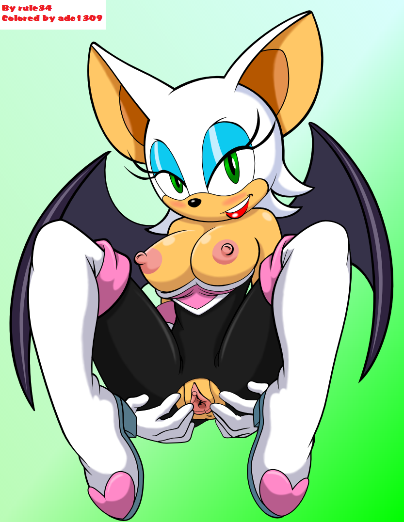 2013 adc1309 anthro anus areola bat big_breasts blush breasts erect_nipples female furry green_eyes hair looking_at_viewer nipples pussy rouge_the_bat rule34rox sega smile solo sonic_(series) white_hair wings