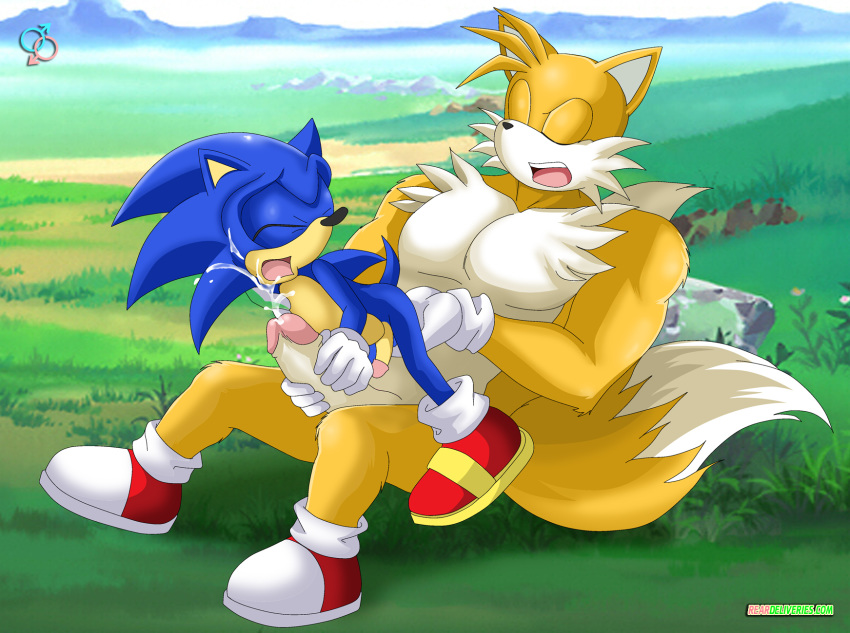 bara bbmbbf cum miles_"tails"_prower mobius_unleashed outdoors palcomix penis penis_grab rear_deliveries size_difference sonic_the_hedgehog sonic_the_hedgehog_(series) titan_tails yaoi
