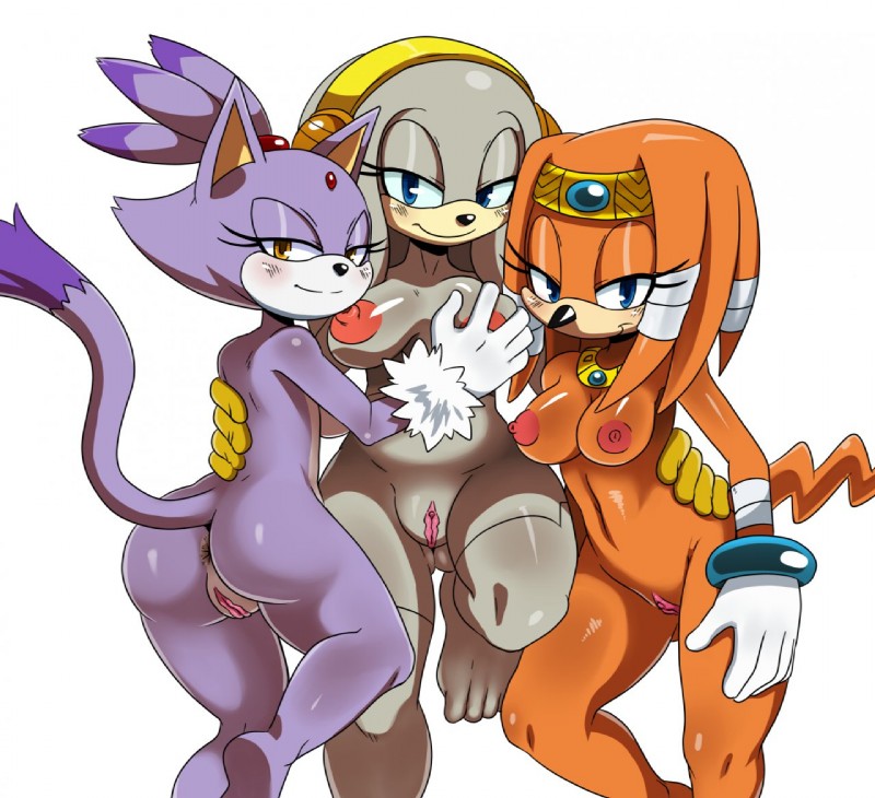 anus ass big_breasts blaze_the_cat blush breast_grab breasts echidna feline furry looking_at_viewer nipples pussy sega smile sonic_(series) sssonic2 thick_thighs tikal_the_echidna wide_hips zeta_the_echidna