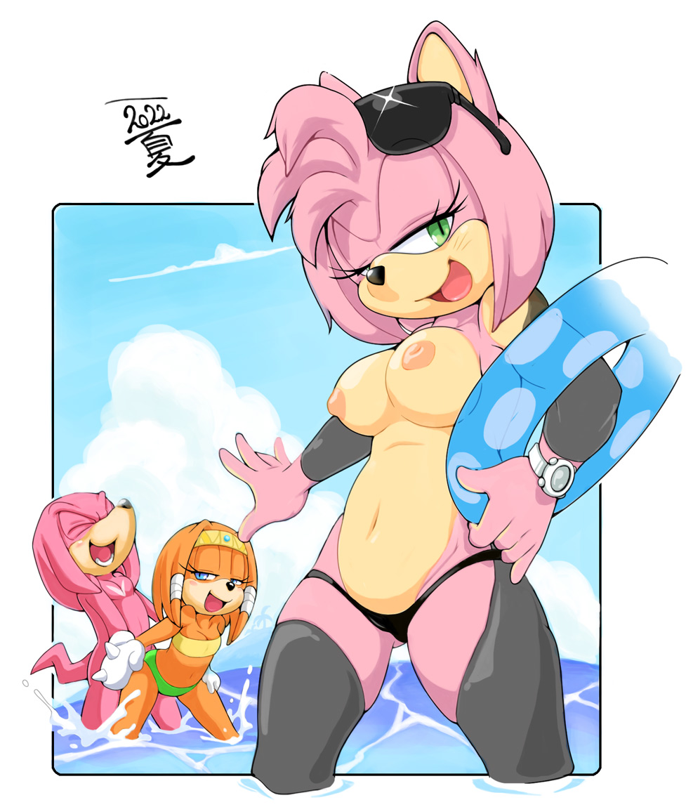 1boy 2_girls ambiguous_penetration amy_rose anthro big_breasts bikini bikini_bottom breasts cleavage clothed clothed_female clothed_female_nude_male echidna erosuke from_behind furry hedgehog knuckles_the_echidna navel nipples nude nude_male ocean partially_clothed partially_submerged public public_sex sega sex small_breasts smile sonic_adventure sonic_the_hedgehog_(series) standing standing_sex swimsuit tikal_the_echidna topless wading water