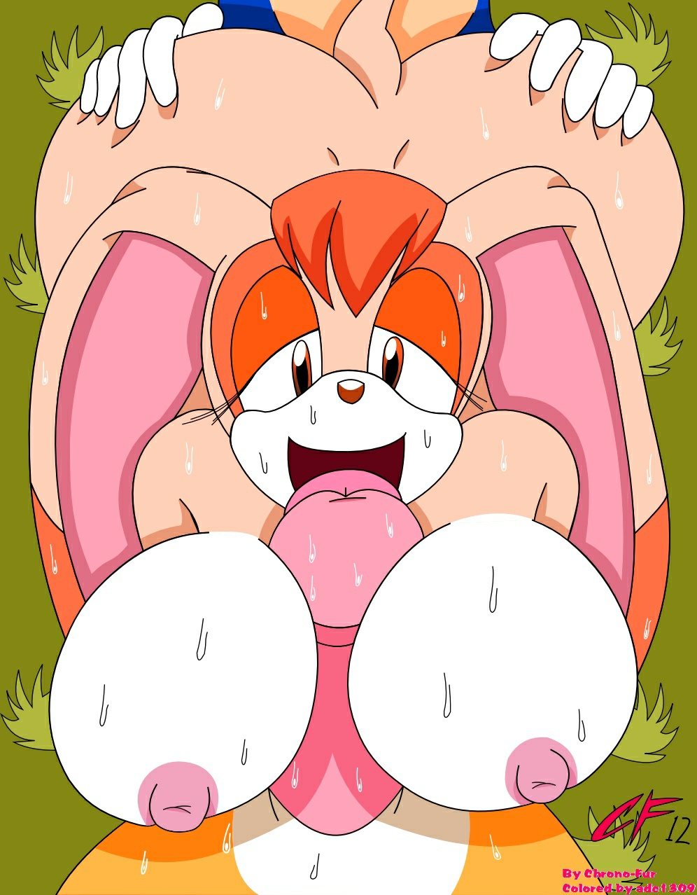 anal ass_grab big_breasts breasts doggy_position furry huge_breasts miles_"tails"_prower milf nipples paizuri pov rabbit sega sonic sonic_(series) sonic_the_hedgehog tail vanilla_the_rabbit