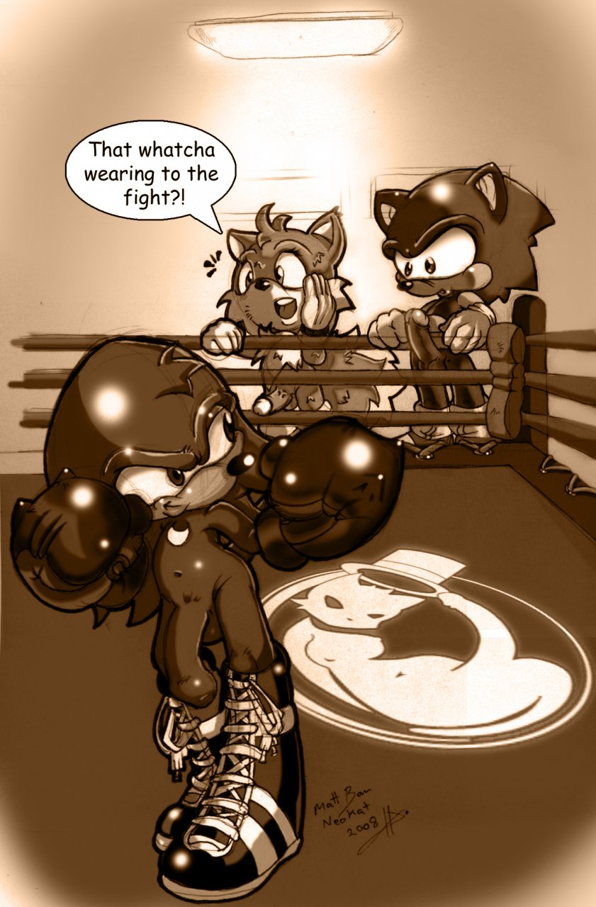 knuckles_the_echidna miles_"tails"_prower neokat sega sonic sonic_team sonic_the_hedgehog tail text
