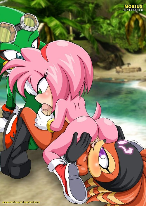 1boy 1girl 69 amy_rose ass ass_grab bbmbbf cunnilingus fellatio female hetero jet_the_hawk male male/female mobius_unleashed oral outside palcomix penis pussylicking sega shade_the_echidna sonic_(series) sonic_the_hedgehog_(series)