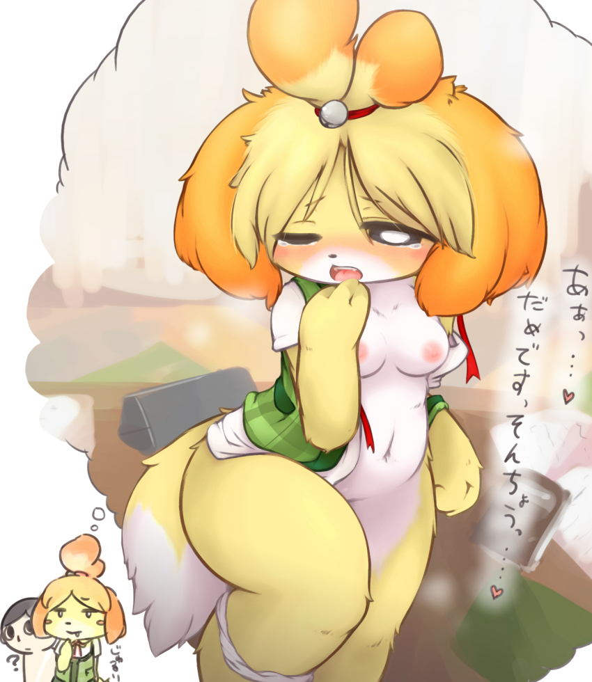 animal_crossing animal_crossing_new_leaf anthro blush breasts canid canine canine_humanoid daydream dog doubutsu_no_mori female furry hair_tie human isabelle_(animal_crossing) japanese_text jingle_bell mammal nintendo nipples open_mouth ponytail secretary shih_tzu shizue_(doubutsu_no_mori) text thick_ass thick_legs thick_thighs villager_(animal_crossing) villager_(doubutsu_no_mori) yellow_fur