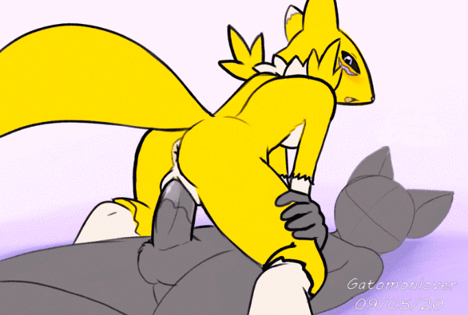 1boy 1girl anus ass blush cowgirl_position digimon_adventure furry furry_female gatomonlover gif girl_on_top interspecies looking_back renamon tail vaginal vaginal_penetration