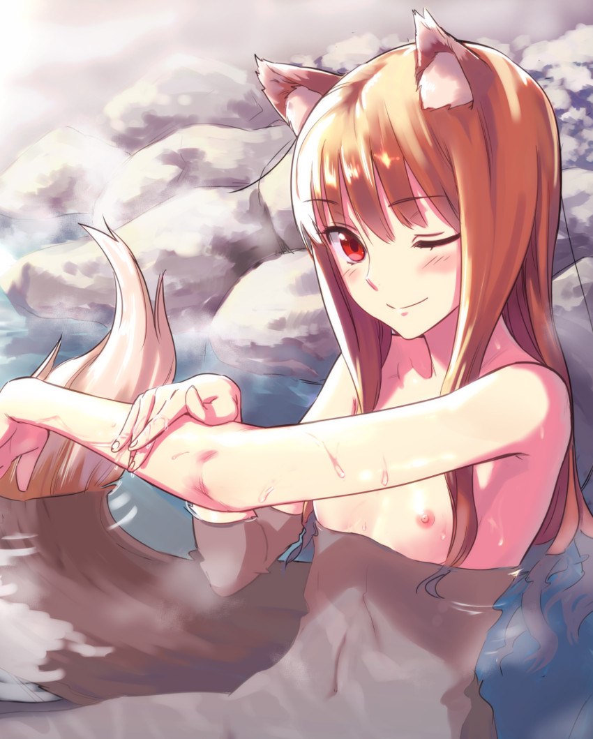 animal_ears breasts brown_hair holo horo long_hair nude solo spice_and_wolf tail