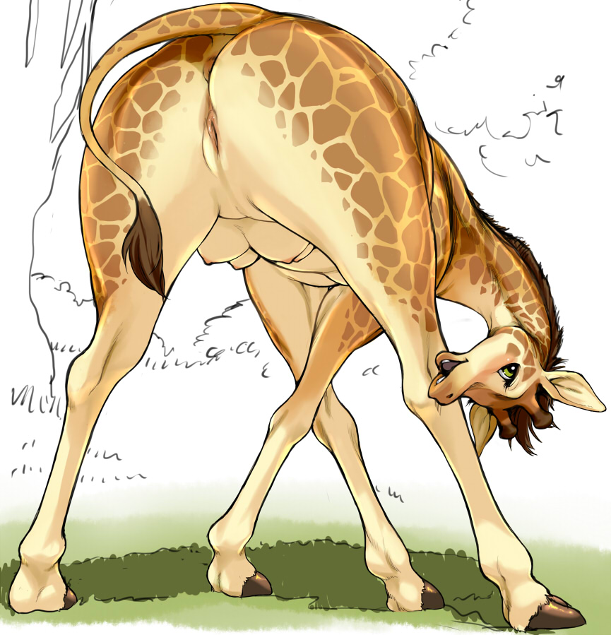 all_fours anus ass breasts butt female feral full_body genitalia giraffe hooves kikurage legs looking_at_viewer looking_back multi_breast nature no_humans nude outdoors pussy solo standing tail teats tree udders