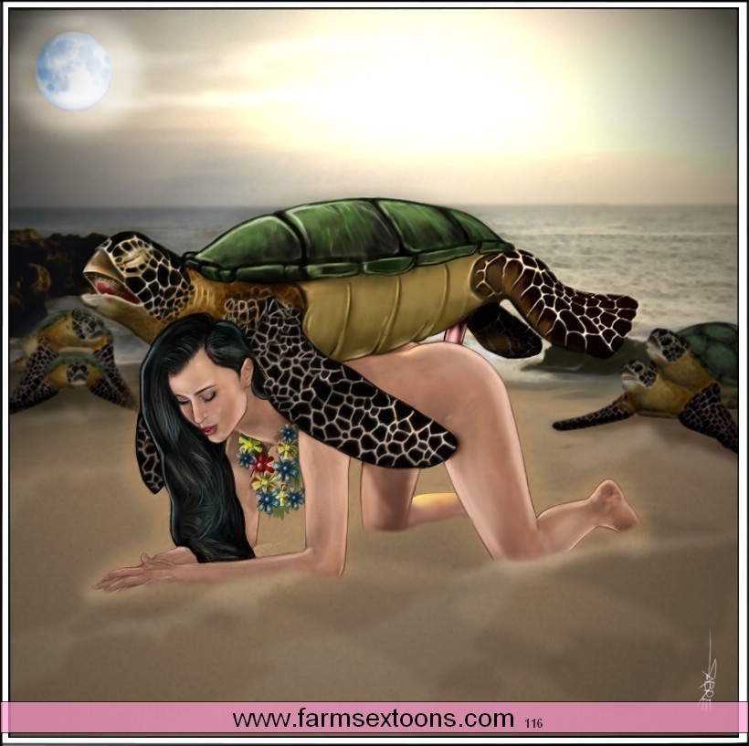 beach beastiality brunette doggy_position flower mating moon on_top penis saber sea sunset turtle