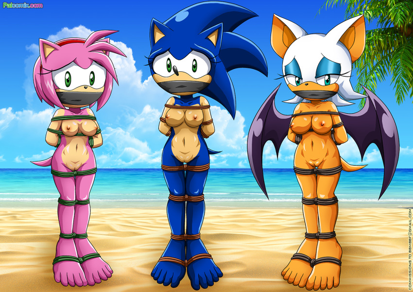 3girls amy_rose anthro areola barefoot bbmbbf bondage breasts female furry genderswap mobius_unleashed multiple_girls nipples nude palcomix rouge_the_bat sega sonic_(series) sonic_the_hedgehog sonic_the_hedgehog_(series)