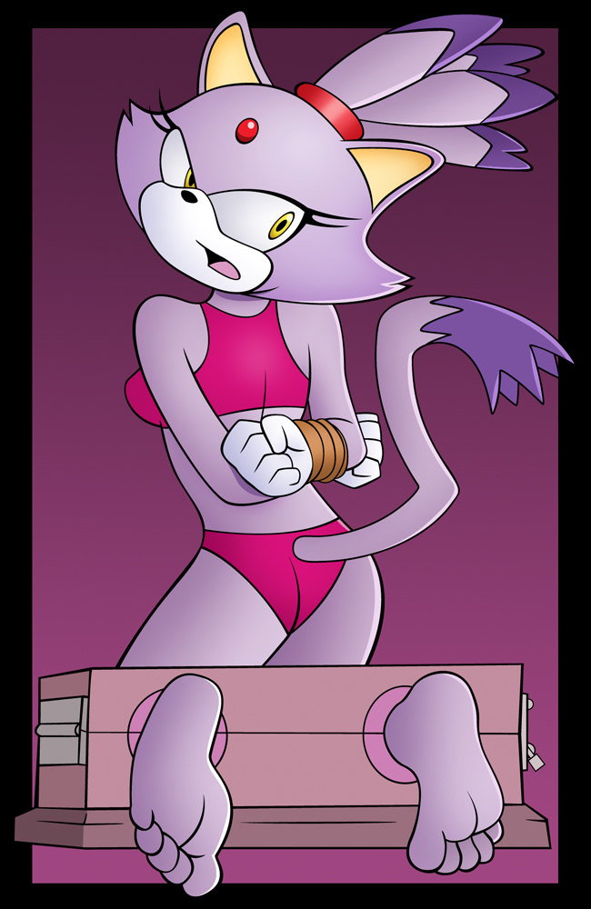 anthro arms_behind_back blaze_the_cat bondage looking_back sonic_the_hedgehog stocks underwear