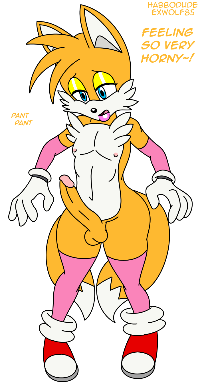 2015 anthro canine clothed clothing crossdressing english_text erection exwolf85 fox furry girly habbodude male mammal miles_"tails"_prower penis sega skimpy solo sonic_(series) tail testicles text