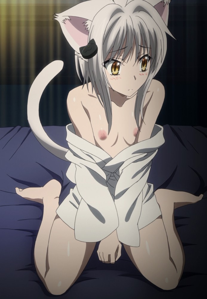 1girl animal_ears areola bed bed_sheet bedroom bent_knees blush breasts cat_hair_ornament cat_tail hair_ornament hairclip high_resolution high_school_dxd high_school_dxd_born indoors looking_down nekomimi nipples on_bed open_clothes screen_capture sitting small_breasts stitched tail thighs tnk_(company) toujou_koneko v_arms wariza white_hair yellow_eyes