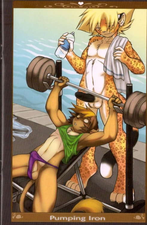 anthro exercise furry nude penis testicles yaoi