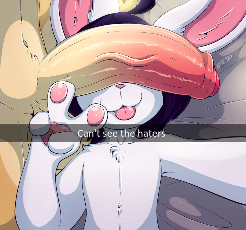 anthro big_penis can't_see_the_haters duo furry genitals gesture high_res lagomorph leporid male male/male male_only mammal meme otto0ttsy penis penis_on_face penis_over_eyes rabbit snapchat tongue tongue_out v v_sign yaoi